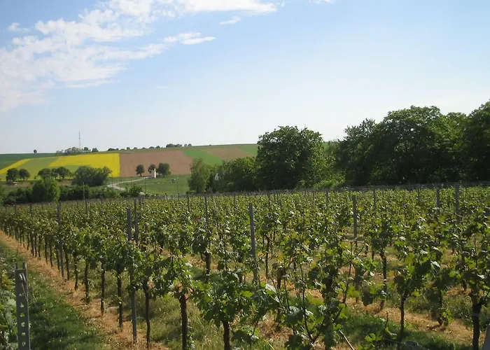 Burry Appartement Kapellen-Drusweiler